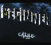 Fäule von beginner - beginner, cd